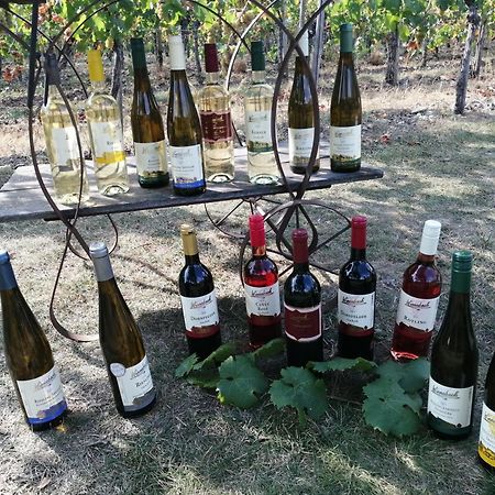 Ferienweingut Winnebeck Köwerich Kültér fotó