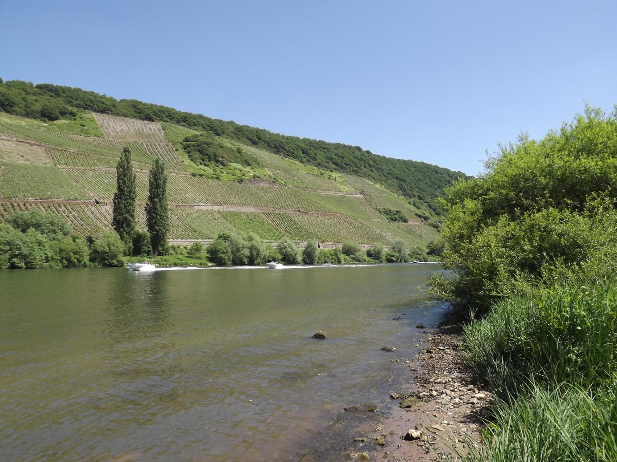 Ferienweingut Winnebeck Köwerich Szoba fotó