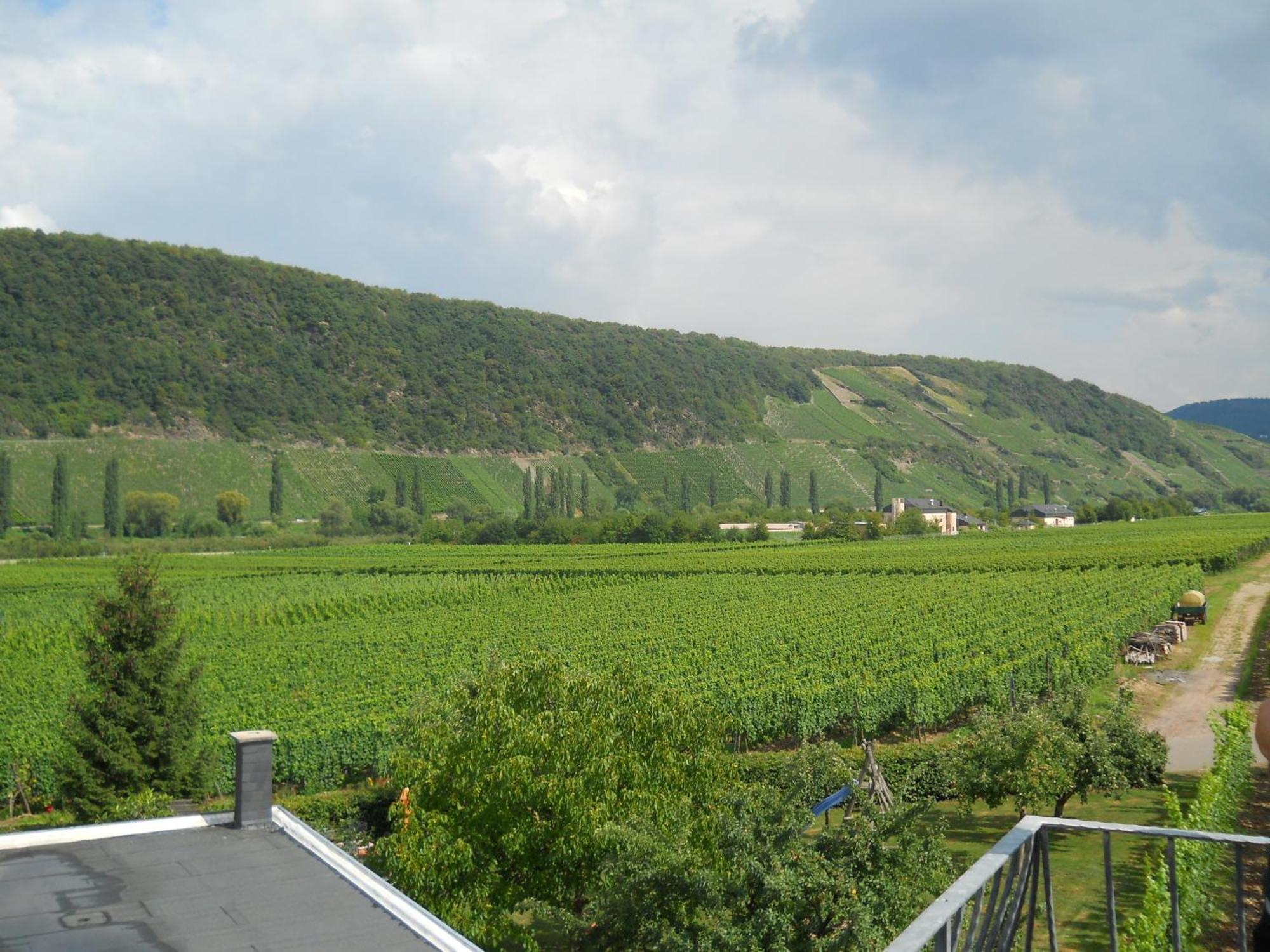 Ferienweingut Winnebeck Köwerich Szoba fotó