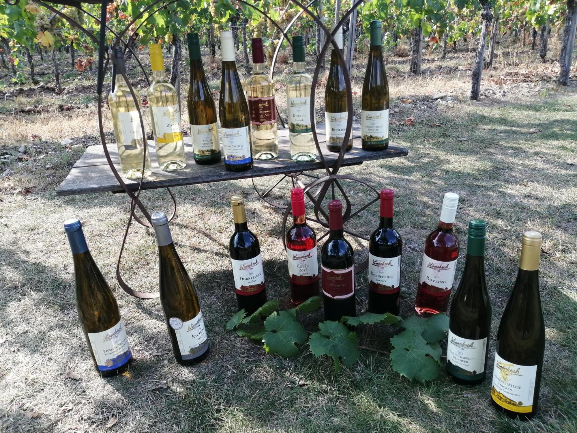 Ferienweingut Winnebeck Köwerich Kültér fotó