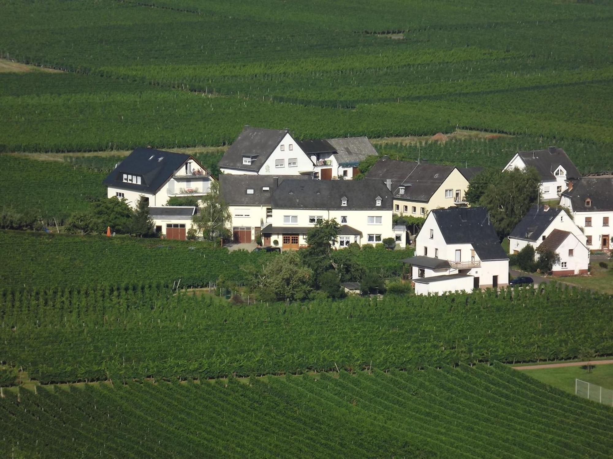 Ferienweingut Winnebeck Köwerich Szoba fotó