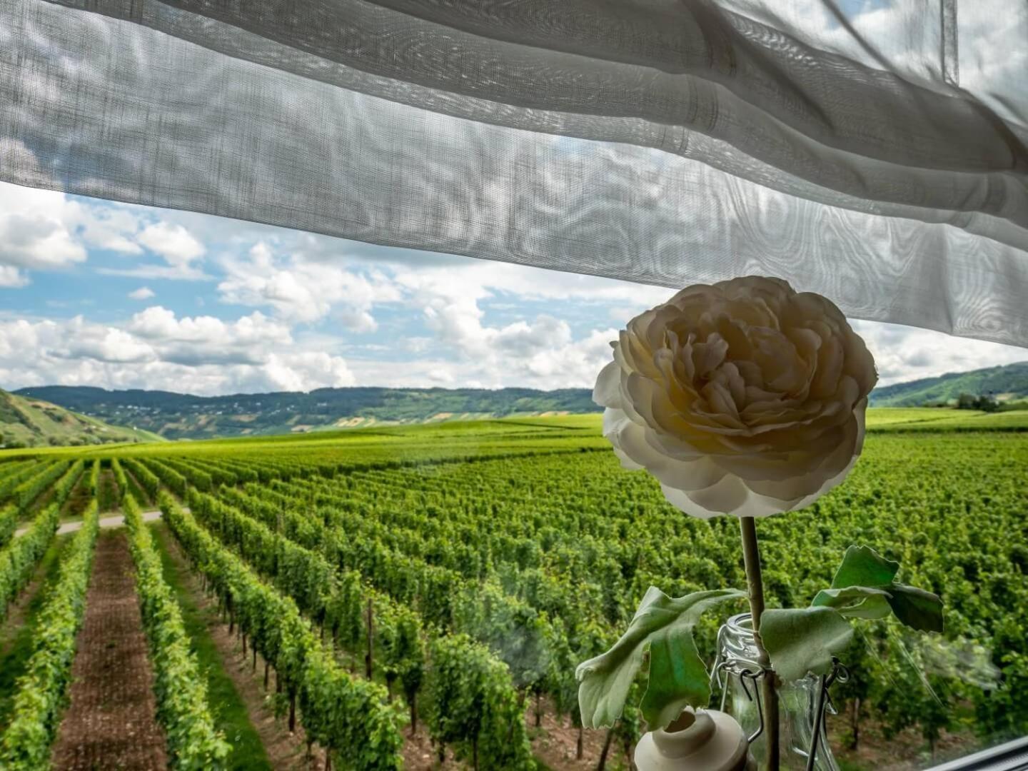 Ferienweingut Winnebeck Köwerich Kültér fotó