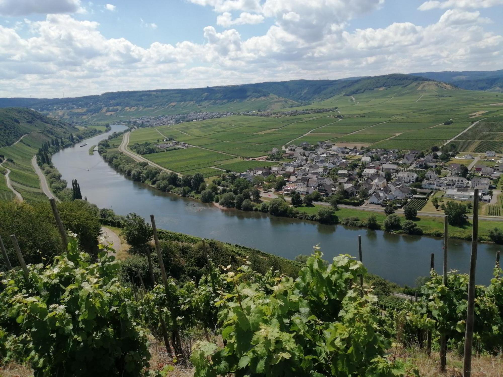 Ferienweingut Winnebeck Köwerich Kültér fotó