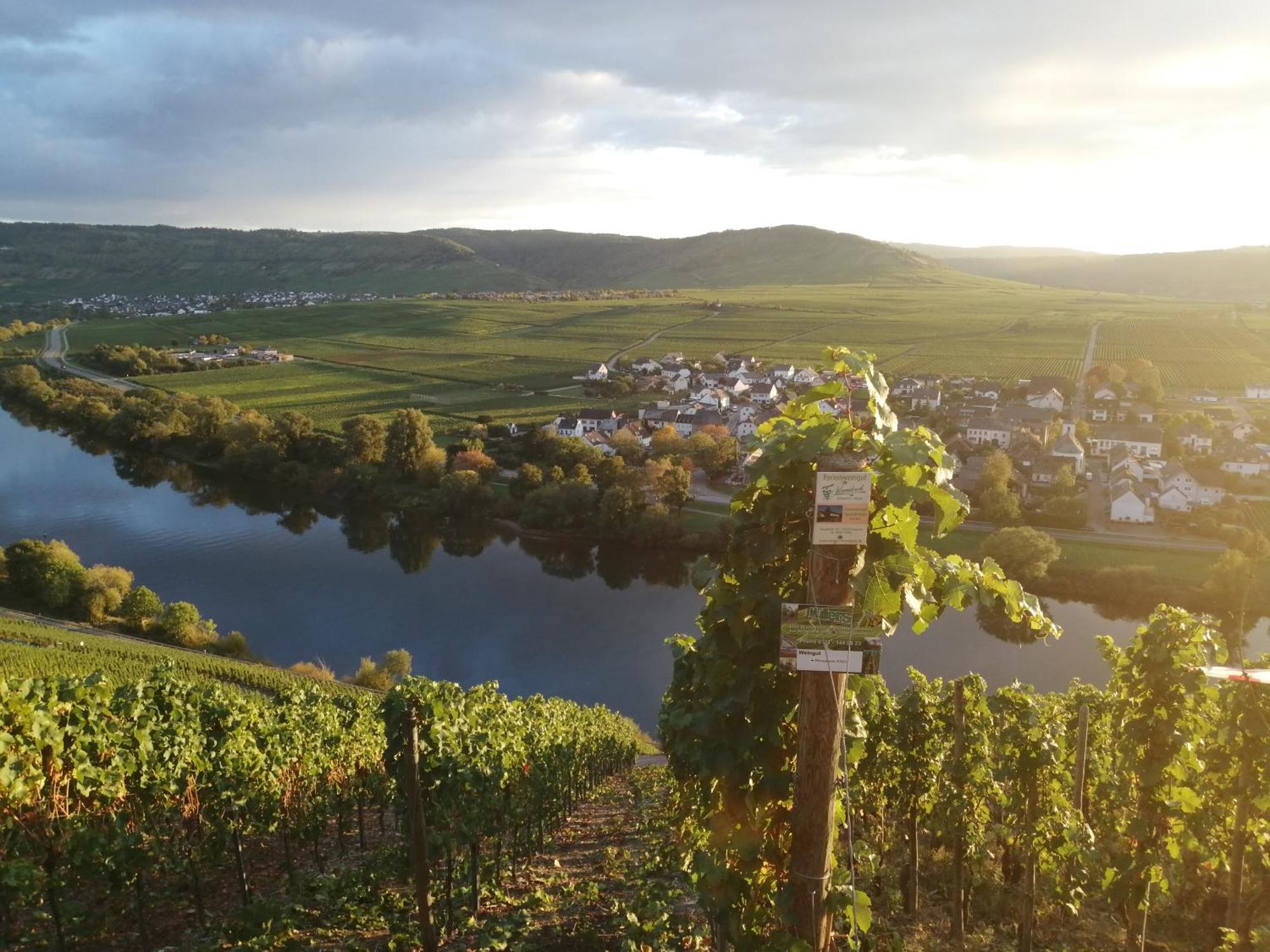 Ferienweingut Winnebeck Köwerich Kültér fotó